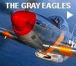 This tribute to the WWII Gray Eagles was in conjunction with an Air show in Ohio called ''The Final Roundup''.